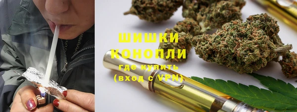 PSILOCYBIN Белокуриха